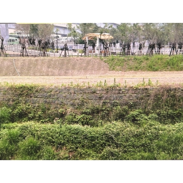 回包式擋土牆工程-新店.中和-擴疆實業有限公司