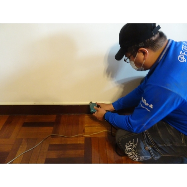 除白蟻-彼得害蟲驅除有限公司