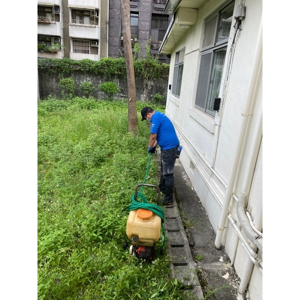 除白蟻-彼得害蟲驅除有限公司