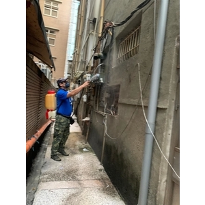 彼得害蟲驅除｜專業除蟑防治與長效維護