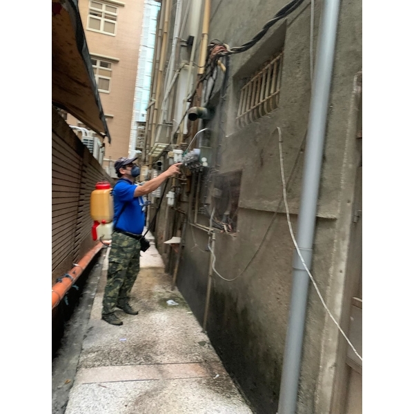 彼得害蟲驅除｜專業除蟑防治與長效維護,彼得害蟲驅除有限公司