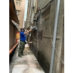 彼得害蟲驅除｜專業除蟑防治與長效維護 - 彼得害蟲驅除有限公司