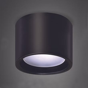 LED吸頂筒燈4吋12W,永豐照明有限公司