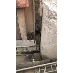 CCP止水樁 - 長鴻開發工程有限公司