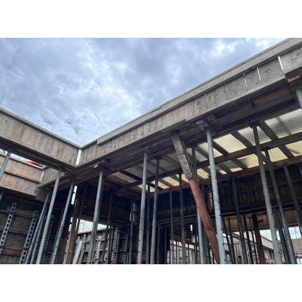 左岸玫瑰2 集合式住宅 二林4戶&公寓新建工程-承洋工程行
