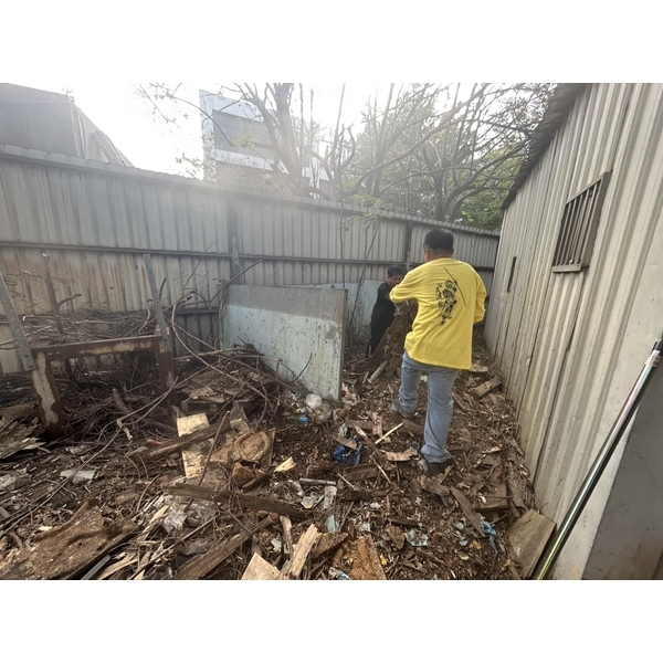 全台專業樹木移除與裝潢拆除工程：標準化作業，確保施工安全無虞