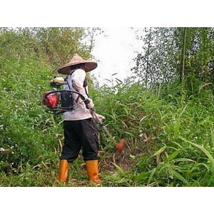 代客割草 - 寶島工程行