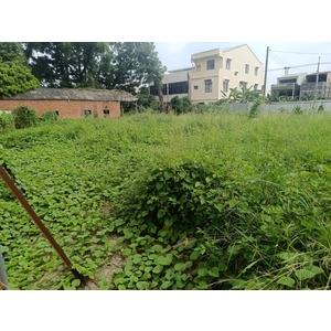 空地割草除草 - 寶島工程行