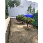 樹木修剪-寶島工程行