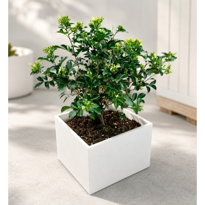 人造石花盆｜客製化花盆製作,寶麗石業社