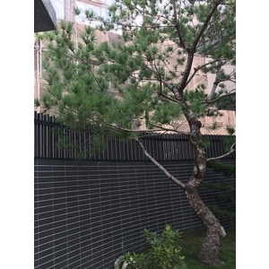 圍牆鋁格柵工程 - 雄大鋁窗企業社