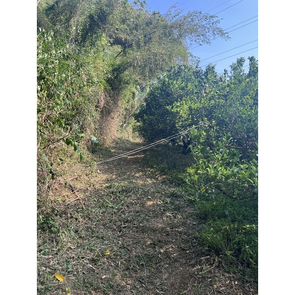代客墓園割草
