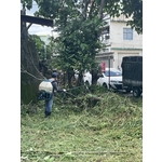 代客割草-辰鎂工程
