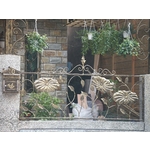 室外欄杆9 , 鴻慶企業社