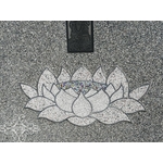 白鐵蓮花 , 鴻慶企業社