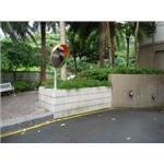 反射鏡 - 星享企業有限公司