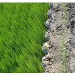 板樁 - 南亞塑膠工業股份有限公司[塑三部]