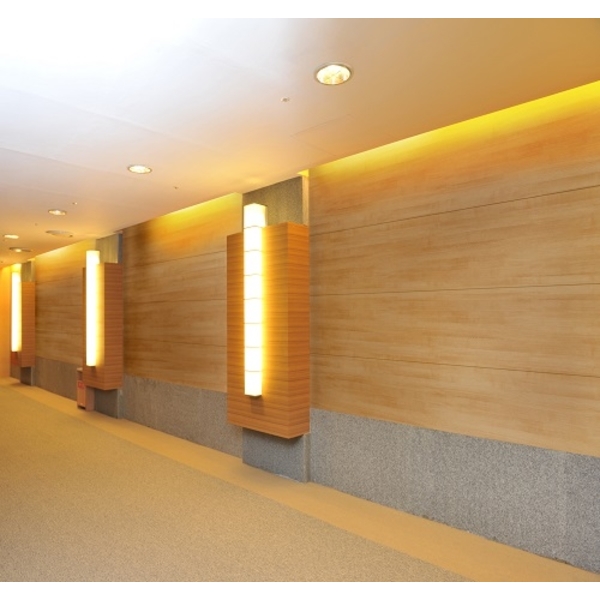 矽酸鈣化妝板應用