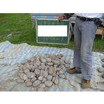 地質調查水土保持-中盛鑽探事業有限公司