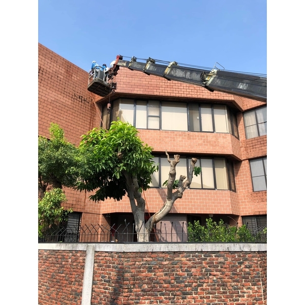 住家整理-振新土木包工業