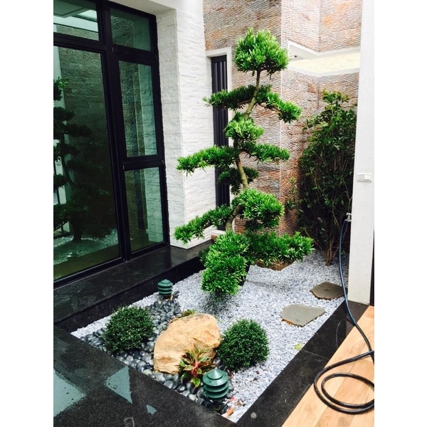 園藝造景-振新土木包工業