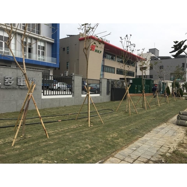 地面換土植栽-振新土木包工業