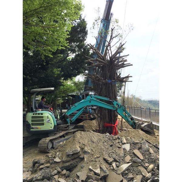 老榕樹移植-振新土木包工業