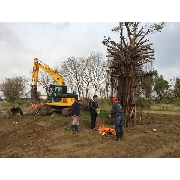 老榕樹移植-振新土木包工業