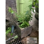 不銹鋼花盆 - 啟陽鐵工廠