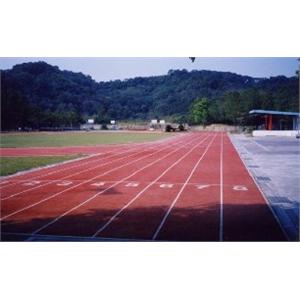 人工草皮、PP跑道、球場
