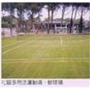 人工草皮球場