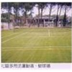 人工草皮球場 - 亮盟實業股份有限公司