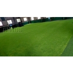 人工草皮棒球場