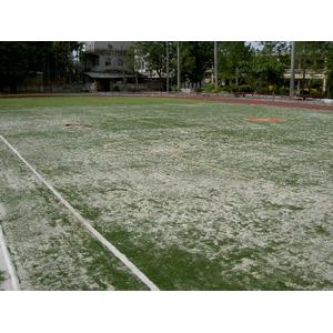 pe人工草皮跑道-新竹縣富興國民小學