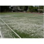 pe人工草皮跑道-新竹縣富興國民小學 - 亮盟實業股份有限公司