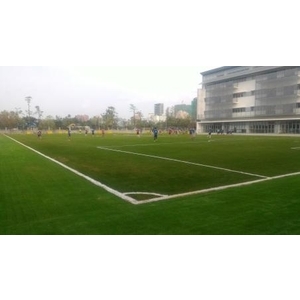 高雄美國學校人工草皮足球場