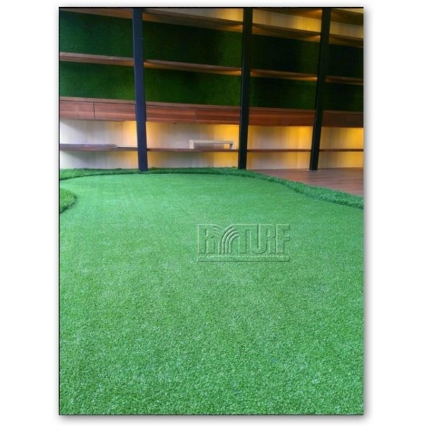 人工草皮牆面及果嶺