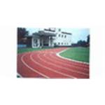 跑道-苗栗縣成功國民小學 - 亮盟實業股份有限公司