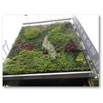 公司綠牆 - 寶銳企業有限公司