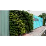 皇龍 - 寶銳企業有限公司