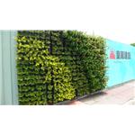 皇龍 - 寶銳企業有限公司