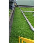 IMAG0067 - 寶銳企業有限公司