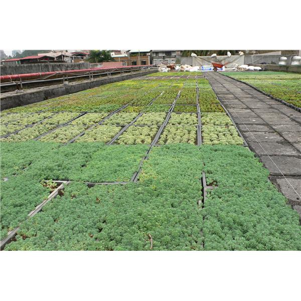 吳興國小,寶銳企業有限公司