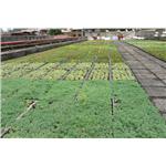 吳興國小 - 寶銳企業有限公司