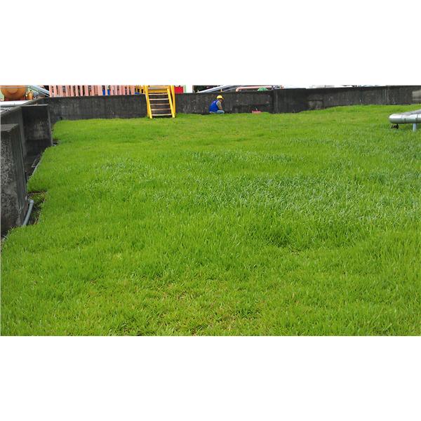 國喬,寶銳企業有限公司