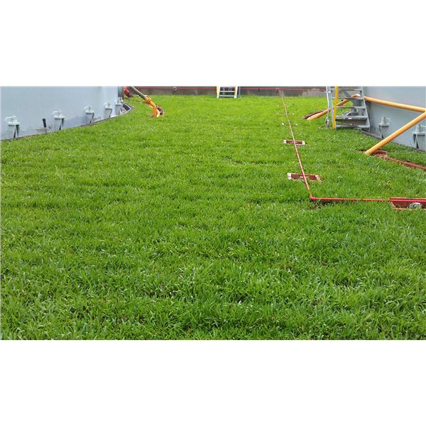 國喬,寶銳企業有限公司