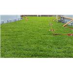 國喬 - 寶銳企業有限公司