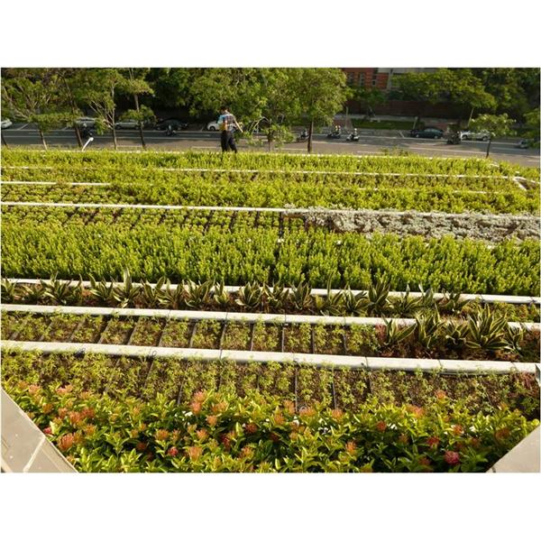 成大屋頂,寶銳企業有限公司