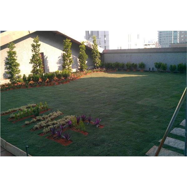 惠文高中,寶銳企業有限公司