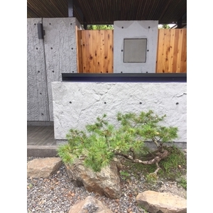 20171025164054A , 弘望有限公司